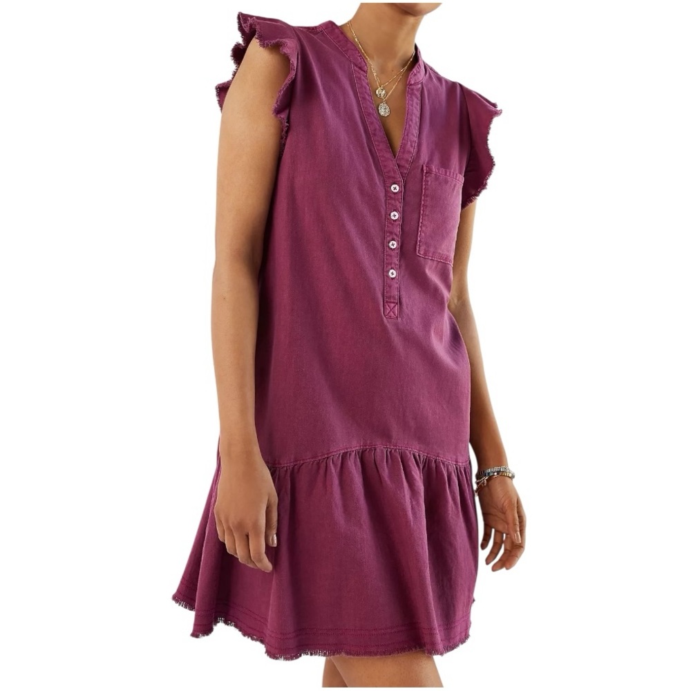 Anthropologie Pilcro Plum Flounced Flutter Sleeve Tunic Mini Dress - S